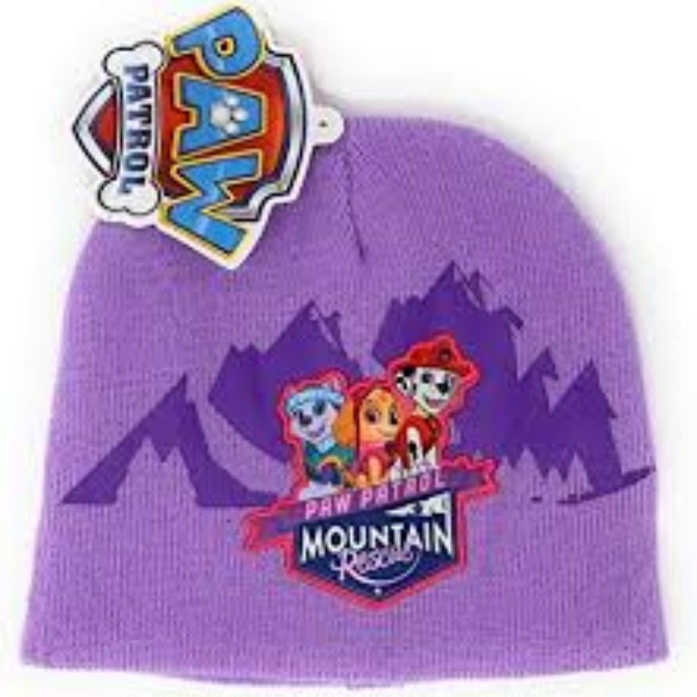 Paw Patrol Skye and Friends Knit Beanie Hat